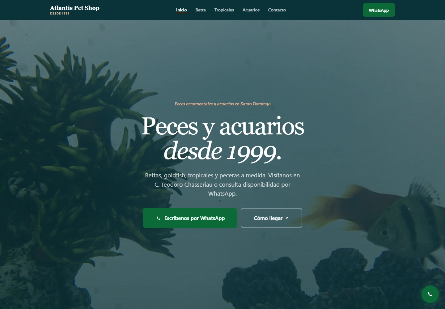 Atlantis Pet Shop: Acuarios y peces ornamentales